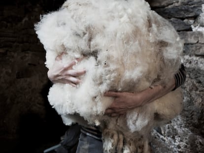 'PIRINAICA'.
Entrega: MARTES
PIE DE FOTO: Antes de subir a la montaña, las ovejas són 'xollades'. Una lana que antes tenia mucho valor y ahora es ahora poco menos que despreciada.