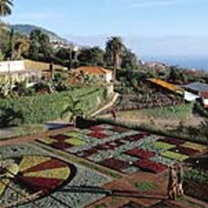 El jardín botánico de Funchal cuenta con más de 2.000 especies, muchas de ellas características de la vegetación subtropical del archipiélago de Madeira.