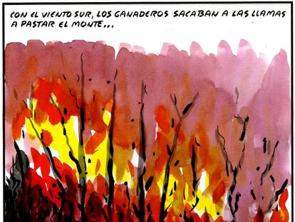 El Roto