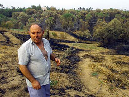 José María Conejo, uno de los afectados por el incendio de Valverde (Huelva), ayer, junto a los terrenos arrasados por el fuego.