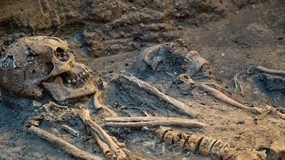 Esqueletos en un cementerio virreinal encontrado por el INAH en el Bosque de Chapultepec