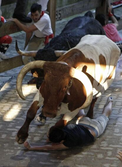 Un mozo pasa apuros al caer ante un manso y uno de los toros de la ganadería salmantina de Valdefresno, a su entrada en la Plaza de Toros de Pamplona.