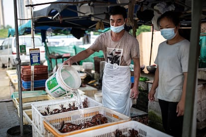 Un puesto de marisco en un mercado al aire libre de la ciudad de Wuhan (China), el 31 de mayo.