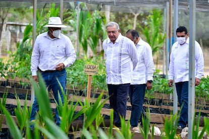 López Obrador supervisando el programa ‘Sembrando vida’ en el Estado de Guerrero en abril.