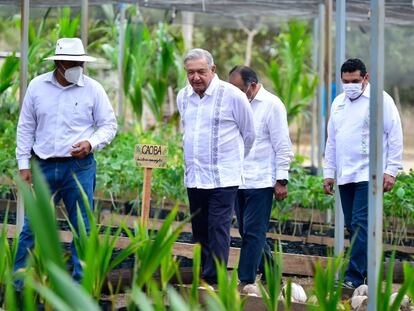 López Obrador supervisando el programa ‘Sembrando vida’ en el Estado de Guerrero en abril.