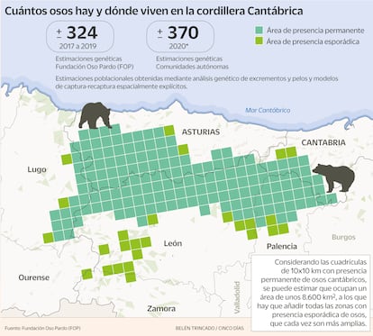 Osos en la cordillera Cantábrica Gráfico