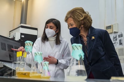 
La reina Sofía visitó este lunes el laboratorio de Biotecnología de Polímeros y el de Parasitología Molecular del CIB Margarita Salas. Esta visita se inscribe en el marco de la colaboración que la fundación que lleva su nombre mantiene con el CSIC.