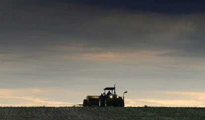 Imagen de un campo de soja en Uruguay.