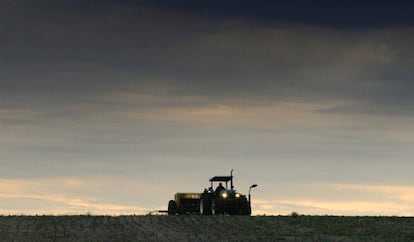 Imagen de un campo de soja en Uruguay. 