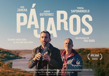 Cartel oficial de la película 'Pájaros'