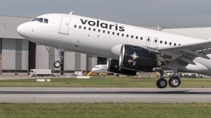 Un avión de Volaris despega del aeropuerto de la Ciudad de México.