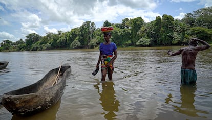 Aminata Bangura cruza el río para plantar un bananero en Tonka, al lado de la fábrica.