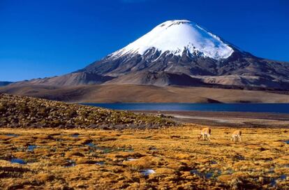 El lago Chungará y el volcán Parinacota, en la región de Arica (Chile).