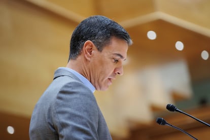 Pedro Sanchez debate Senado