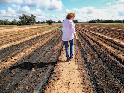 Natividad Pérez, alcaldesa de Balsa de Ves, camina por un terreno agrícola lleno de digestato reseco.