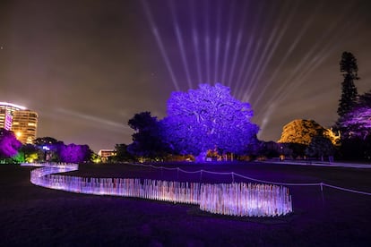 'River of Light', otra de las instalaciones luminosas en el Real Jardín Botánico con motivo de la XI edición del festival Vivid Sydney. Como indica su nombre, es un río de luz que tiene más de 55 metros de largo. <br></br> Más información: <a href="https://www.vividsydney.com" target="_blank">vividsydney.com</a>