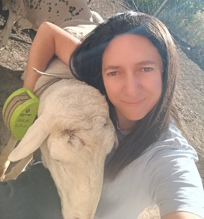 Lourdes Perona, ganadera de Valdepeñas de Jaén, con sus ovejas que portan collares inteligentes, en una imagen cedida por ella