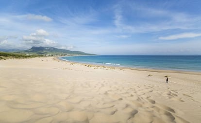 La playa de Bolonia, en Cádiz, un entorno natural con parajes llenos de naturaleza casi virgen, arena fina y blanca y aguas cristalinas.