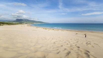 La playa de Bolonia, en Cádiz, un entorno natural con parajes llenos de naturaleza casi virgen, arena fina y blanca y aguas cristalinas.