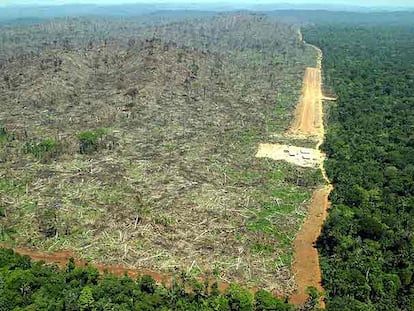 Desmatamento na Amazônia para o plantio de soja, em dezembro de 2019.