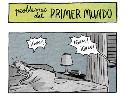 Problemas del primer mundo