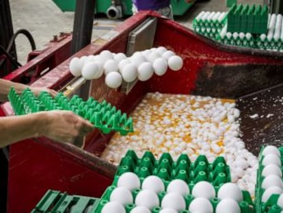 Francia y Reino Unido, los dos últimos en detectar partidas afectadas por un pesticida