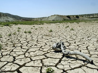 Pantano de Vadomojón (Jaén), afectado por la sequía.