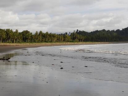 Playa de Jurubir&aacute; a la que llegan &#039;pacas&#039; de droga durante la madrugada. 