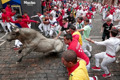 Los mozos son perseguidos por los toros de la ganadería abulense de José Escolar, durante el séptimo encierro de los Sanfermines.