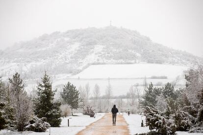 Un hombre paseaba el jueves por un parque de Vitoria cubierto por la nieve.