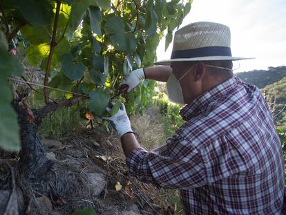 El Ministerio planea favorecer a los pequeños agricultores.