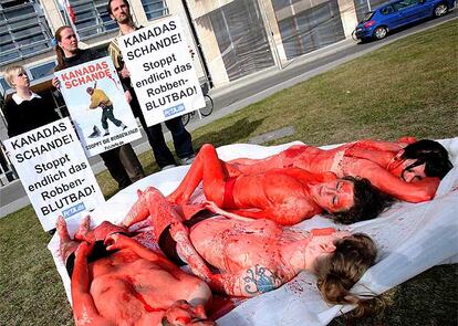 Activistas de la organización PETA (Personas por la Ética en el Trato de los Animales) yacen sobre la hierba semidesnudos y manchados con sangre artificial para protestar contra la caza de focas, frente a la Embajada de Canadá en Berlín. En 2007 está prevista la caza de 350.000 ejemplares de focas arpa y encapuchadas en el norte de Canadá. El Gobierno canadiense alega que la sobrepoblación de focas acaba con los bancos de bacalao. Muchos ejemplares son despellejados vivos para hacerse con su cotizada piel.