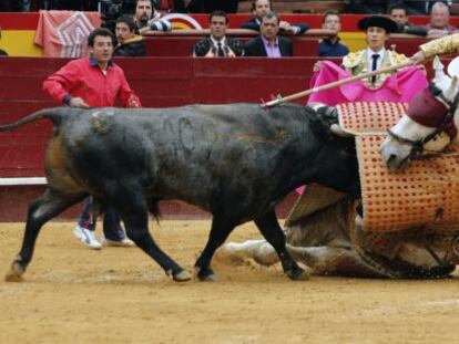 El segundo toro derribó de esta guisa al picador.