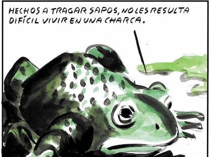 El Roto