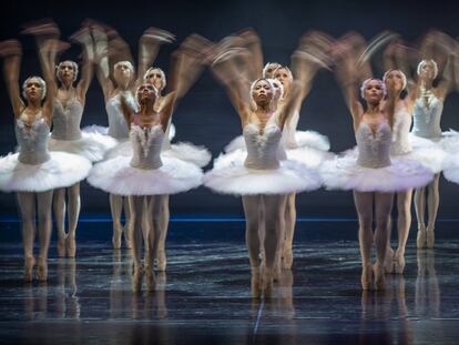 Representación de la obra de danza 'El lago de los cisnes' en el Teatro de la Maestranza de Sevilla.