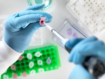 Scientists preparing a sample in a laboratory.