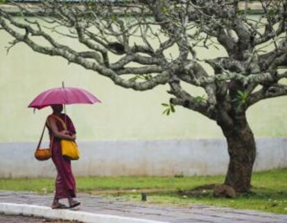 Un monje budista en el gran monasterio de Anuradhapura (Sri Lanka), donde se encuentra el árgol sagrado Sri Maha Bodhi.