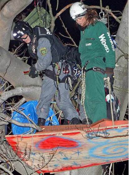 La policía alemana intenta bajar a un grupo de ecologistas de la organización Robin Wood que viven desde hace un mes en un haya de 300 años para evitar su tala