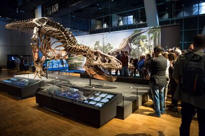 Imagen de la exposición del T.Rex en CosmoCaixa.