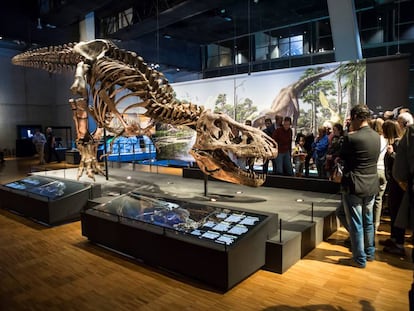 Imagen de la exposición del T.Rex en CosmoCaixa.