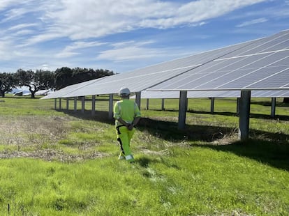 Un operario en la planta solar Talayuela, Cáceres.