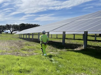 Un operario en la planta solar Talayuela, Cáceres.