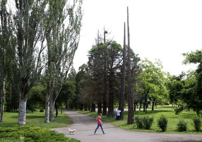 Vista del estado de los árboles del parque Arriaga de Vitoria.