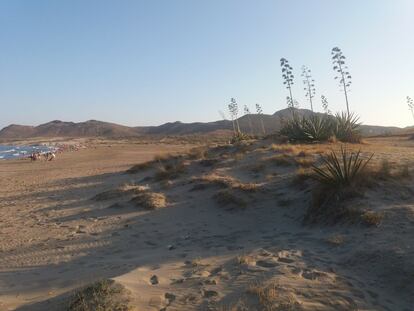 El hotel proyectado está a unos 900 metros en línea recta de la playa de los Genoveses, en el parque natural de Cabo de Gata.