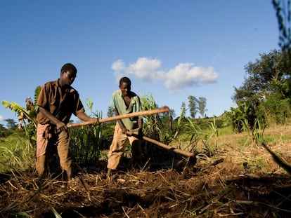 Paren, aquí vive gente (II)