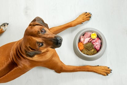 La dieta BARF sería lo más parecido a cómo se habrían alimentado perros y gatos desde el Neolítico.