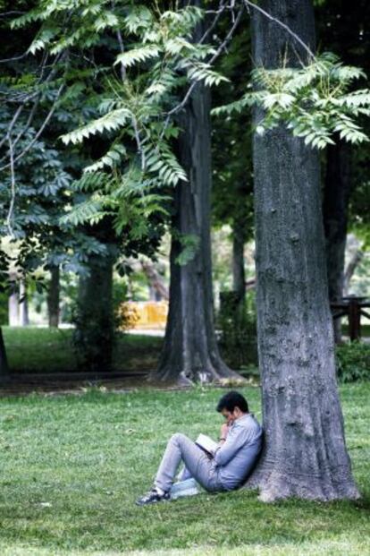 Un lector en el Parque del Retiro, de Madrid, en la pasada Feria del Libro.