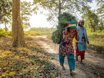 Dos mujeres recogen hierba en los límites de la comunidad forestal de Kumore (Nepal). 