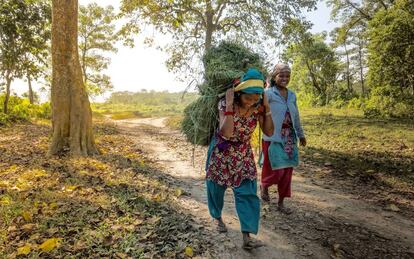 Dos mujeres recogen hierba en los límites de la comunidad forestal de Kumore (Nepal). 