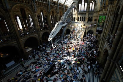 Activistas contra el cambio climático realizan una performance dentro del Museo de Historia Natural de Londres. 
